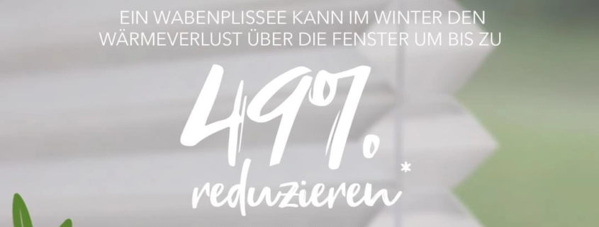 Plissees - Wabenplissees - Fussboden Götze & Co. KG