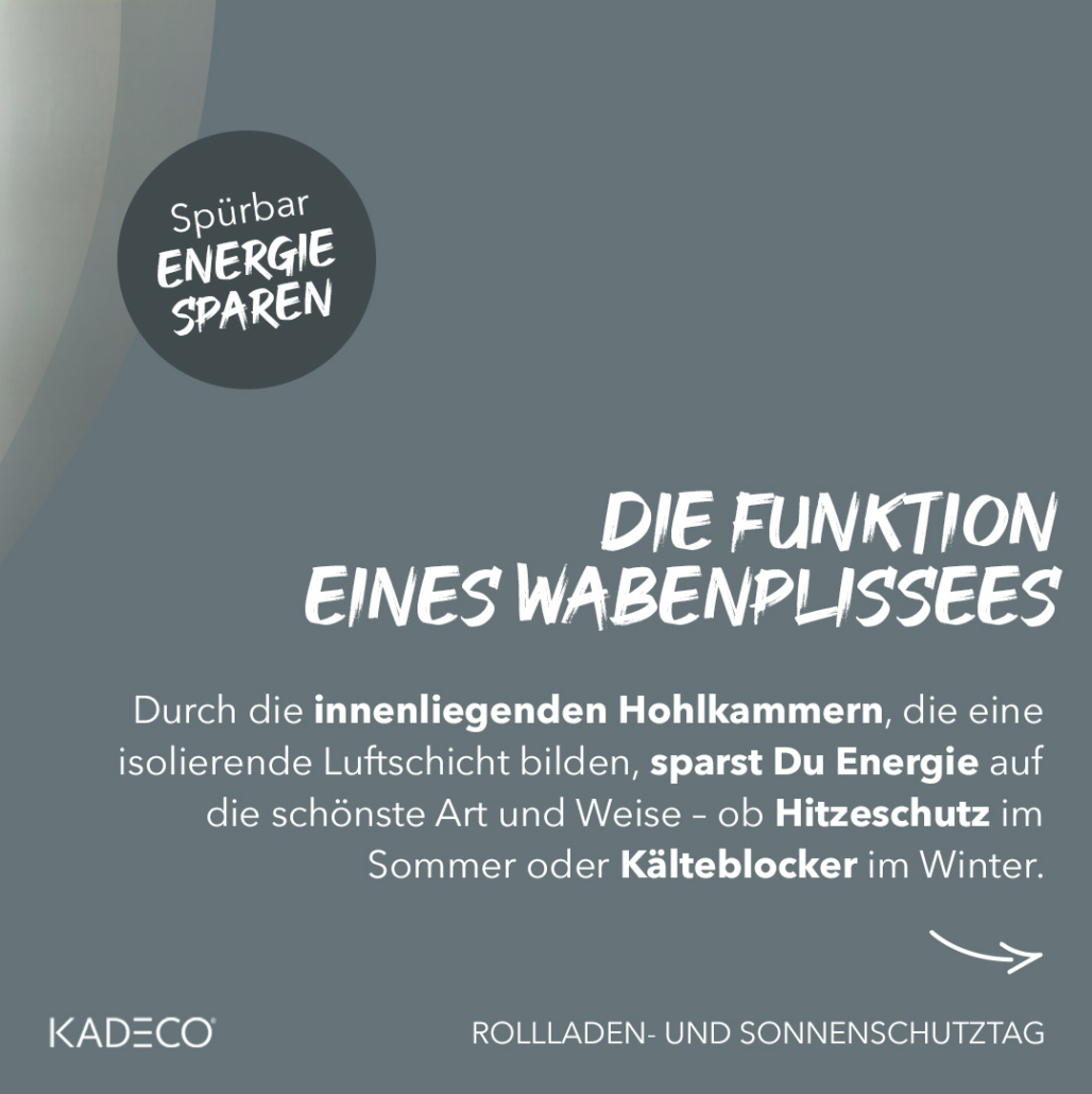 Plissees - Wabenplissees - Fussboden Götze & Co. KG Plissees - Wabenplissees - Fussboden Götze & Co. KG